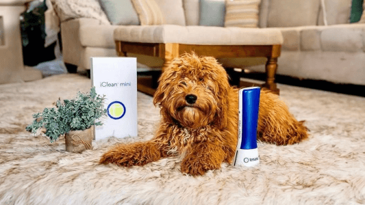 ผลิตภัณฑ์ทำความสะอาดระดับพรีเมียม